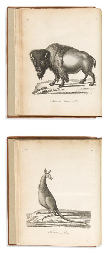 (NATURAL HISTORY.) Thomas Pennant. Two eighteenth-century illustrated works.